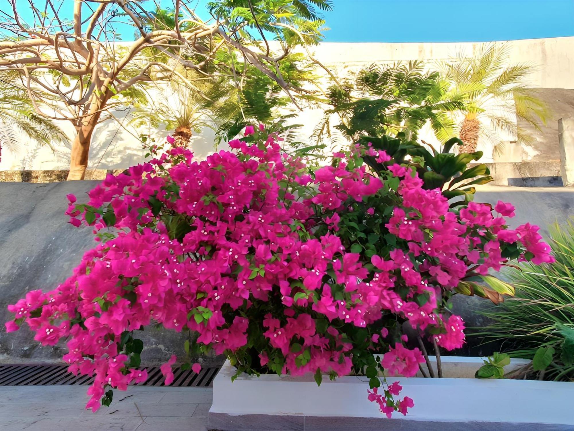 Beach Villa With Cozy Terrace ริโอ ฮาโต ภายนอก รูปภาพ